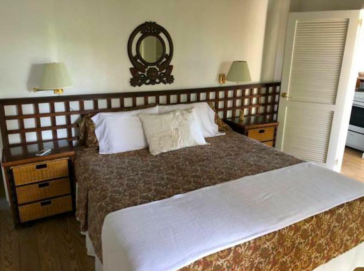 Bequia Beachfront Villa Hotel 弗兰德希普 外观 照片