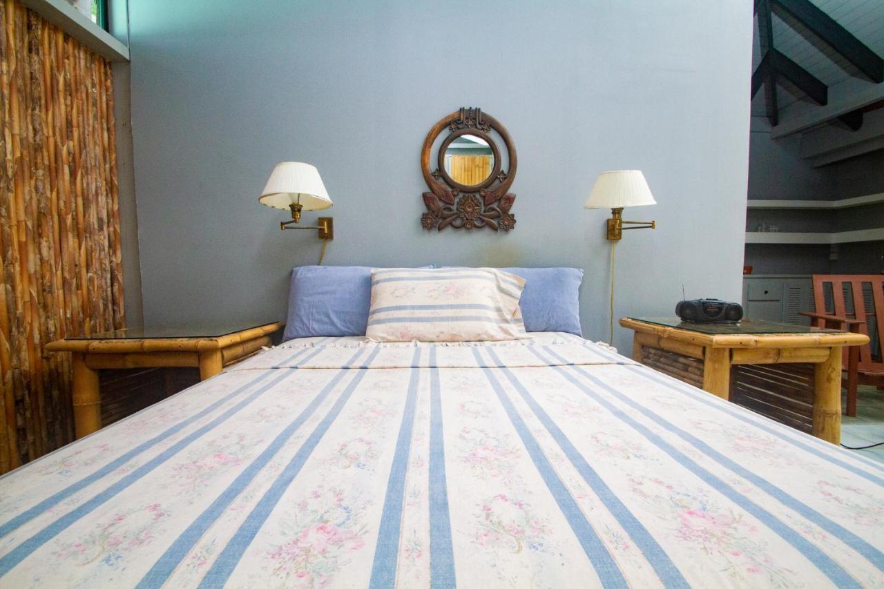 Bequia Beachfront Villa Hotel 弗兰德希普 外观 照片