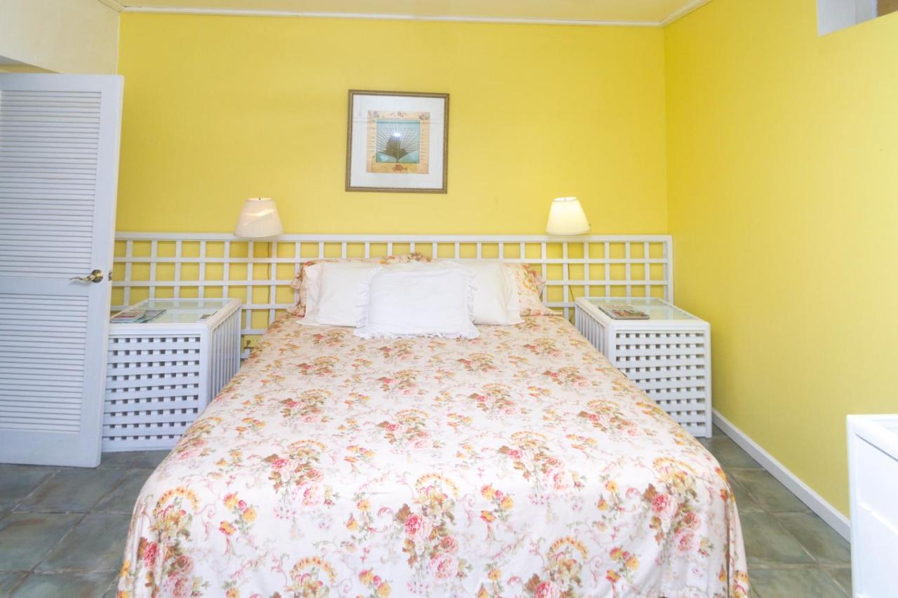 Bequia Beachfront Villa Hotel 弗兰德希普 外观 照片